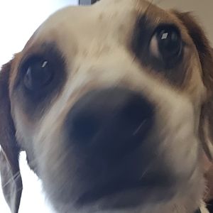 Meet your Posher, Jack